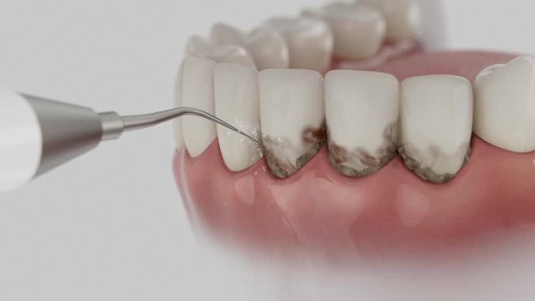 Reliable Dental contractor in Nicholasville, KY by Dentist Open Now